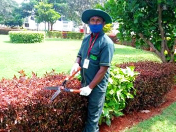 garden-care-in Bangalore