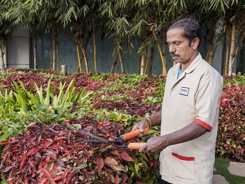 garden-maintenance-work