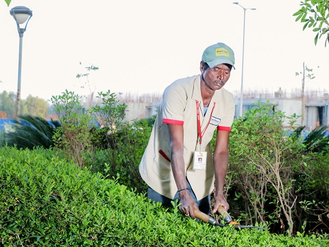 garden-maintenance