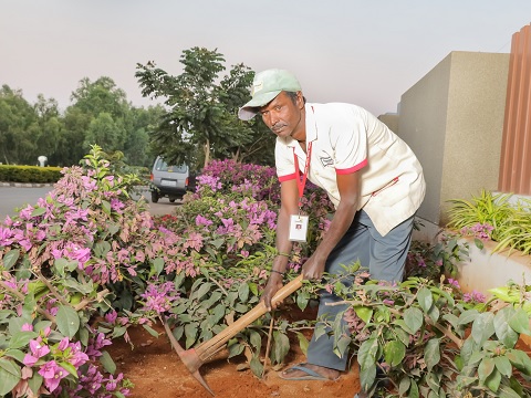 gardening-services